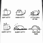 Soft kitty The Big Bang Theory