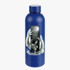 Термобутылка