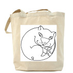 Холщовая сумка