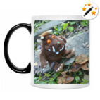 своей дорожкой