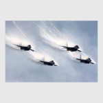 МиГ-29 'Стрижи'