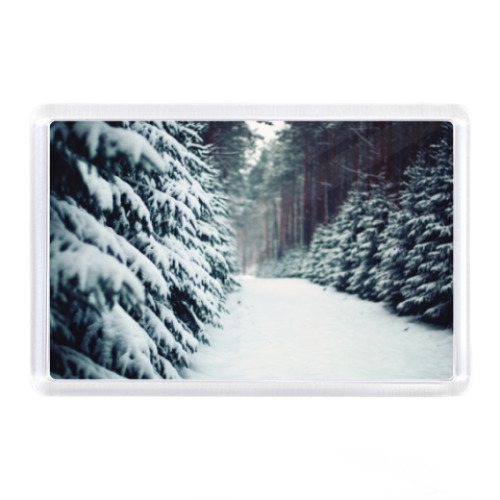 Магнит Зимний лес