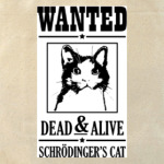 Кот Шрёдингера