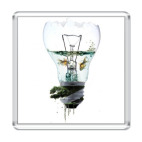 Bulb