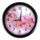 Цветы сакуры