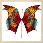 'Monsterfly'