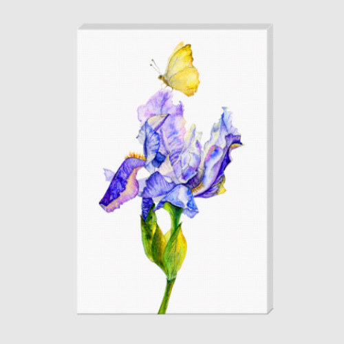 Холст с принтом цветок ириса с бабочкой