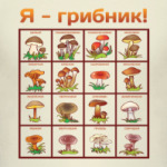 Я-грибник!