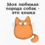 Обожатель кошек