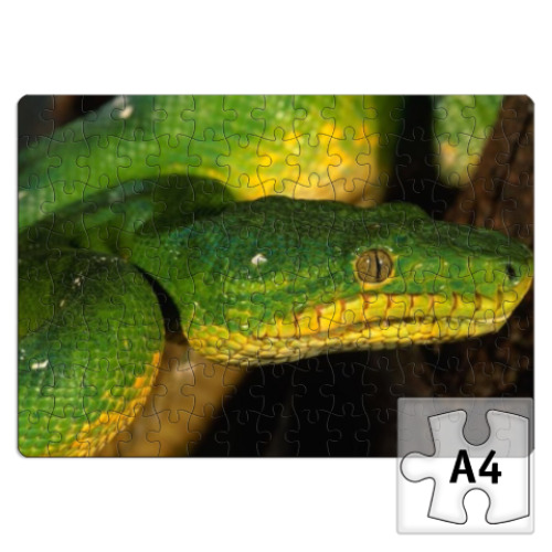 Пазл с принтом Змейка