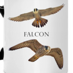 FALCON (Сокол)