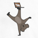 Karmic Koala