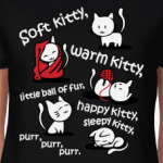 Песня Шелдона и Пенни