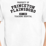 Принстон Плэйнсборо