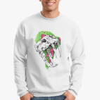 Череп саблезубого тигра