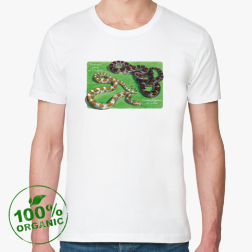 Футболка из органик-хлопка E.guttata miami