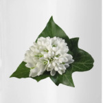 Подснежник