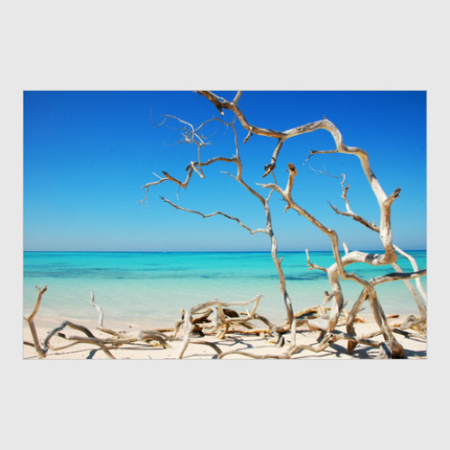 Постер с принтом Море