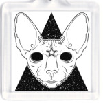 Кот сфинкс познавший Вселенную