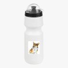 Велобутылка