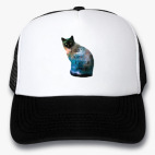 Кепки Trucker