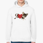 Толстовка худи