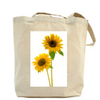 ''Sunflower''