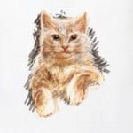 Кот в карандашах