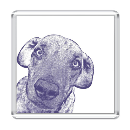 Магнит с принтом  Dog