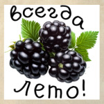 Всегда лето!