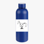 Термобутылка