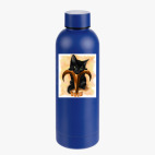 Термобутылка