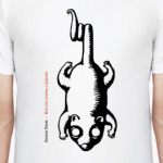 Келли Линк. Все это очень странно