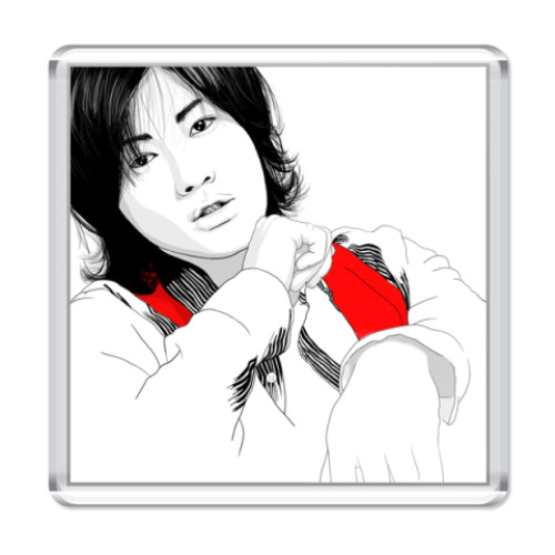 Магнит  Akanishi Jin