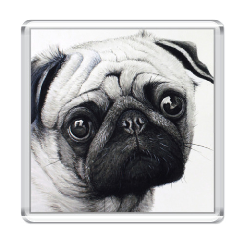 Магнит с принтом  Мопс