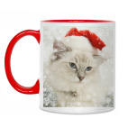 Кот в шапке