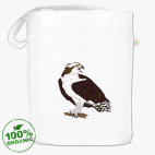 Скопа - птица 2018 года