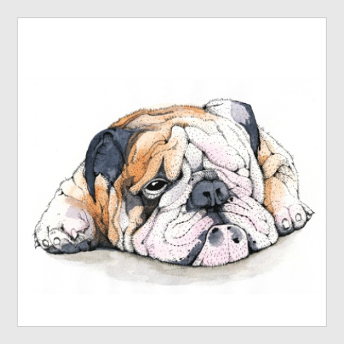 Постер Dog