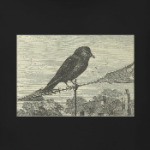 Галка на крыше (винтаж)