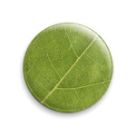  Зеленый лист