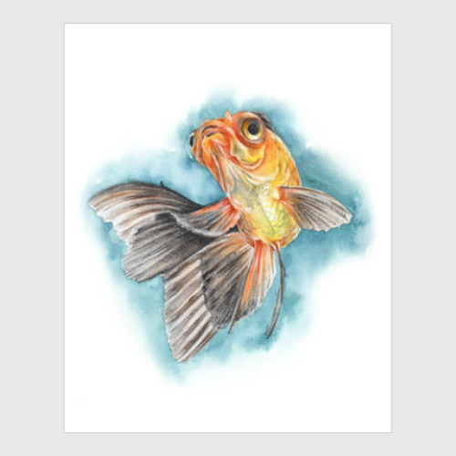 Постер Золотая рыбка