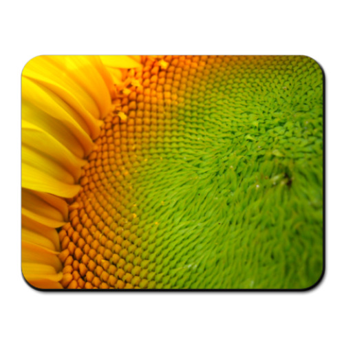 Коврик для мыши с принтом подсолнух
