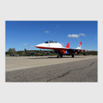 МиГ-29 'Стрижи'