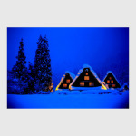 Фото природы зимой