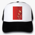 Кепки Trucker