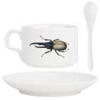 Жук-геркулес