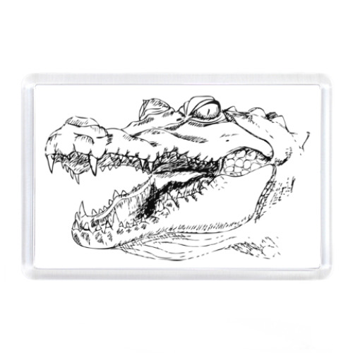Магнит с принтом Аллигатор