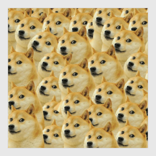 Постер DOGE