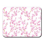 Весенняя сакура цветущая вишня маленькие цветы