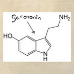 Sertonin